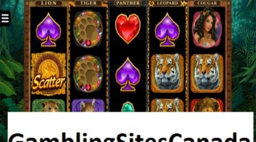 Exotic Cats Slots Game